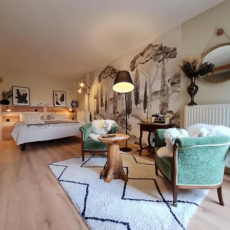 Charmante Avec Salle D'eau Privative Et Espace Salon - Fr-1-584-325 Boismont (Meurthe-et-Moselle)